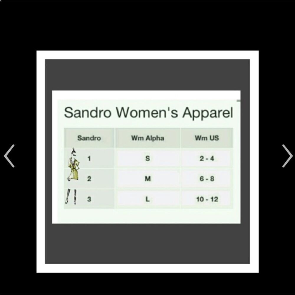 SANDRO Floral Dress Size Large - Picture 8 of 8